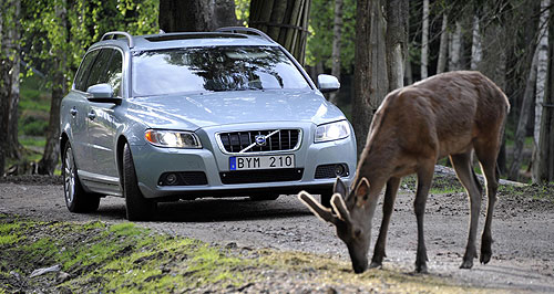 Volvo working on animal avoidance tech