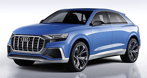 More Q SUVs and pure EVs in Audi’s future