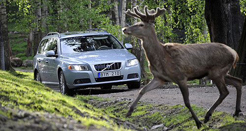 Volvo extends collision avoidance tech to wildlife