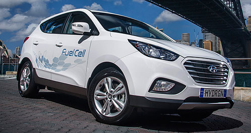 Government's fuel-cell support comes too late